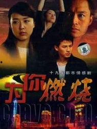 燃烧电视剧在线观看,揭秘都市生活背后的激情与挣扎 第3张 燃烧电视剧在线观看,揭秘都市生活背后的激情与挣扎 第3张